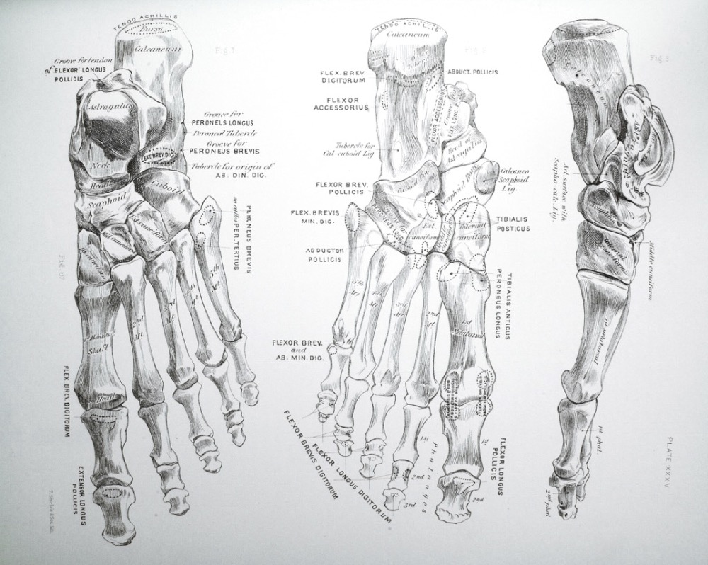 Balance Foot & Ankle